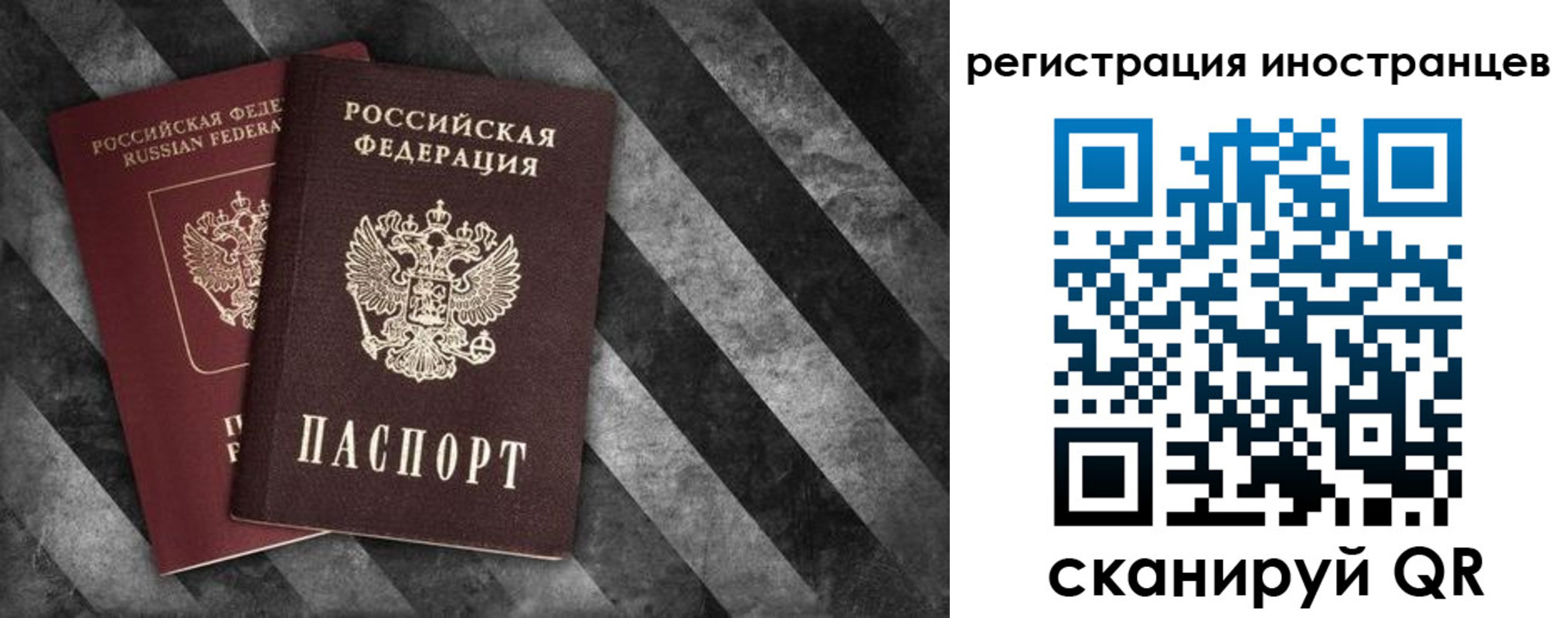 прописка для школы в Благодарном